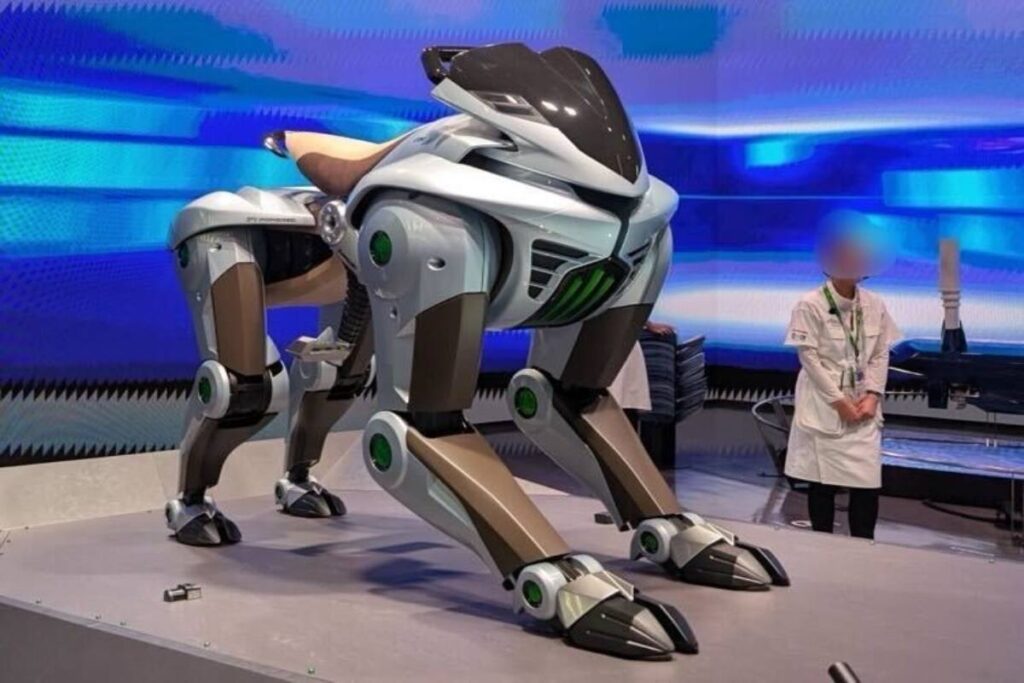 A Picture of the Kawasaki Corleo