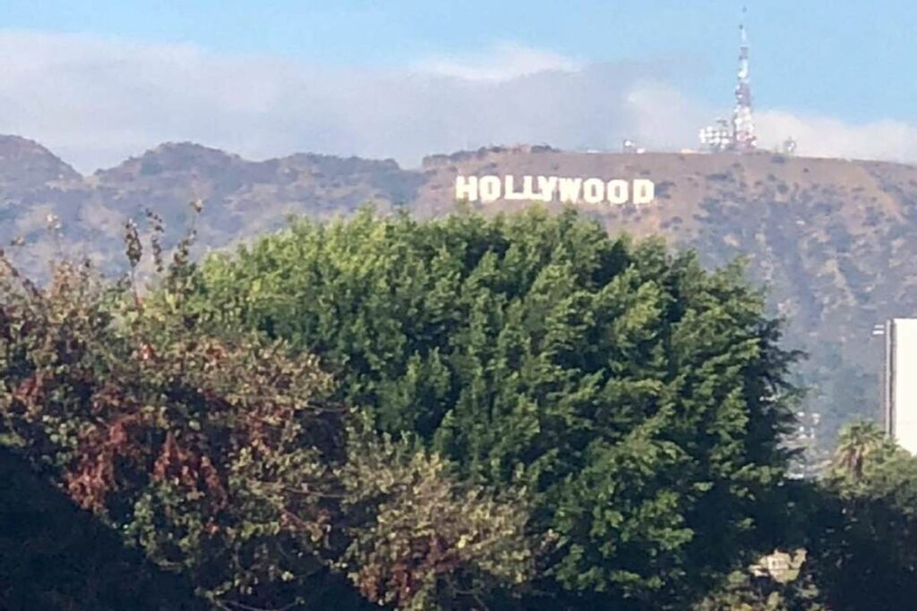 A Picture of Hollywood