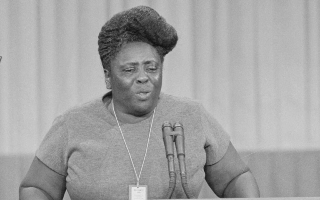 A Picture of Fannie Lou Hamer