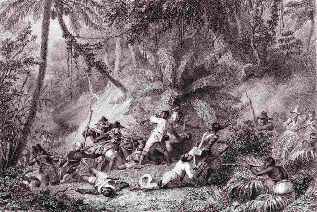 A Picture of Haiti Revolution