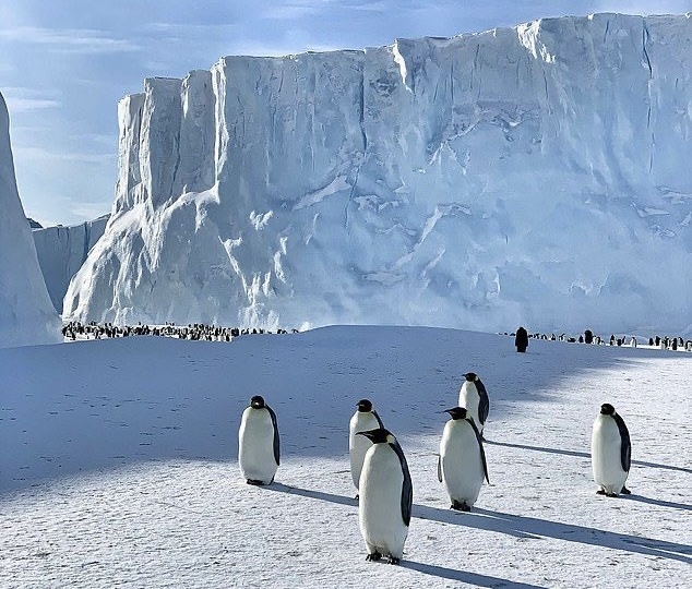Antarctica