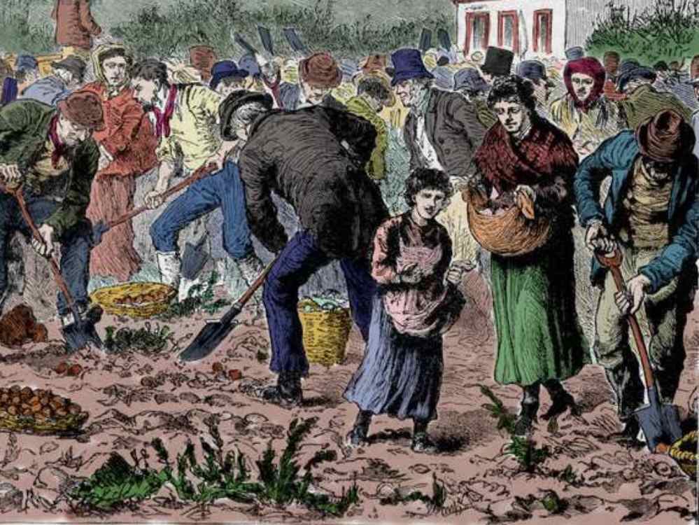 A Picture ofIreland Farmers