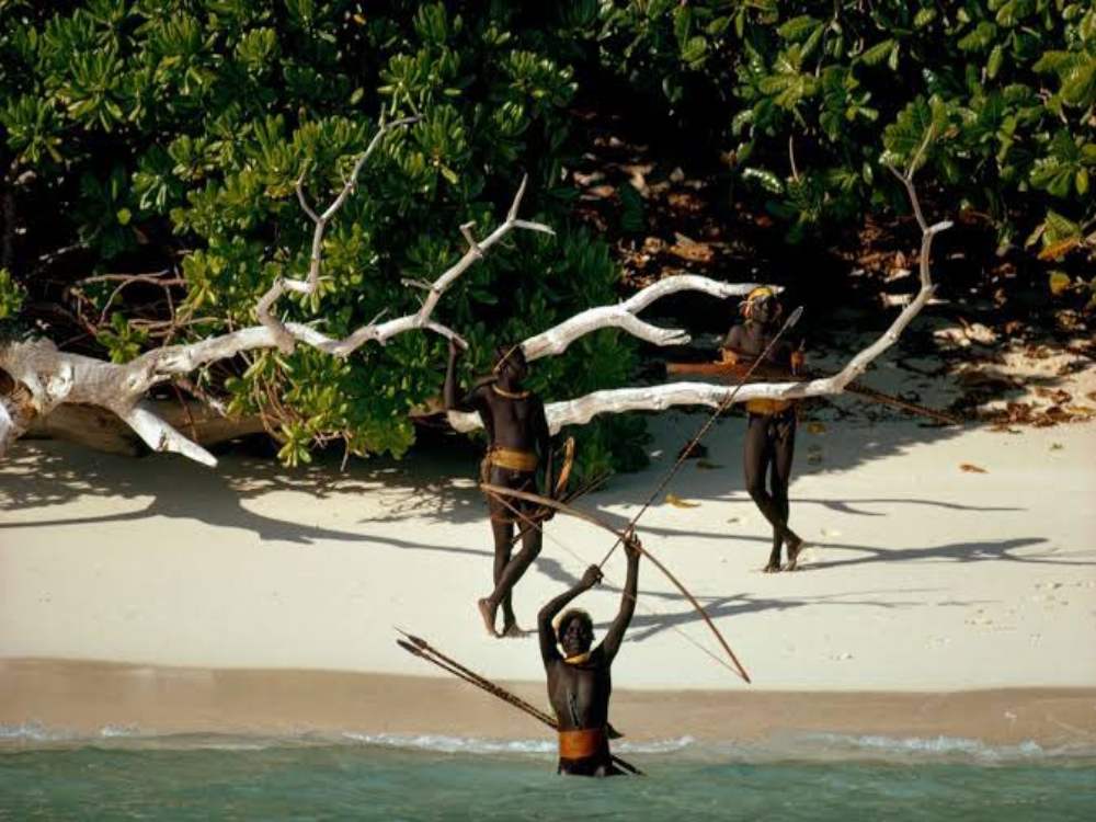 A Picture of Sentinelese